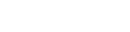 RIO WEBSITE 2